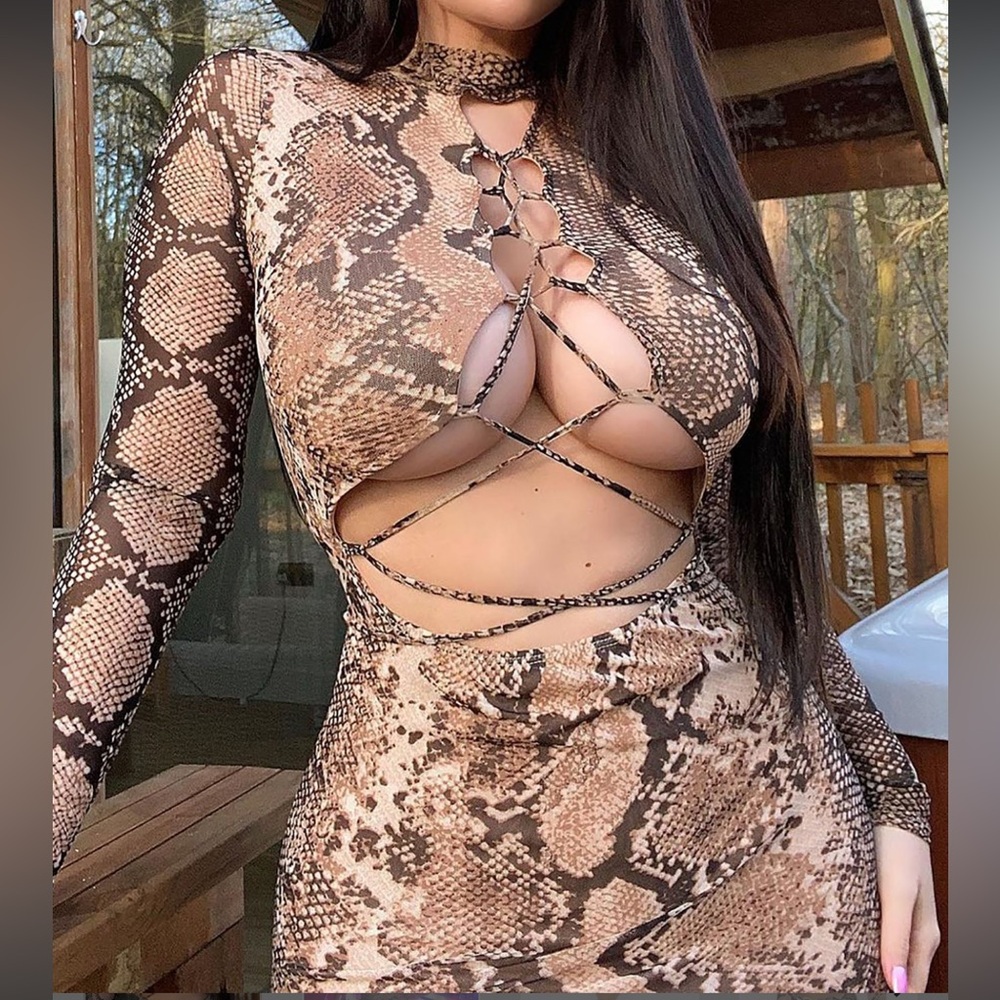 Fashion Nova Mesh Animal Print Dress - Picture 9 of 12